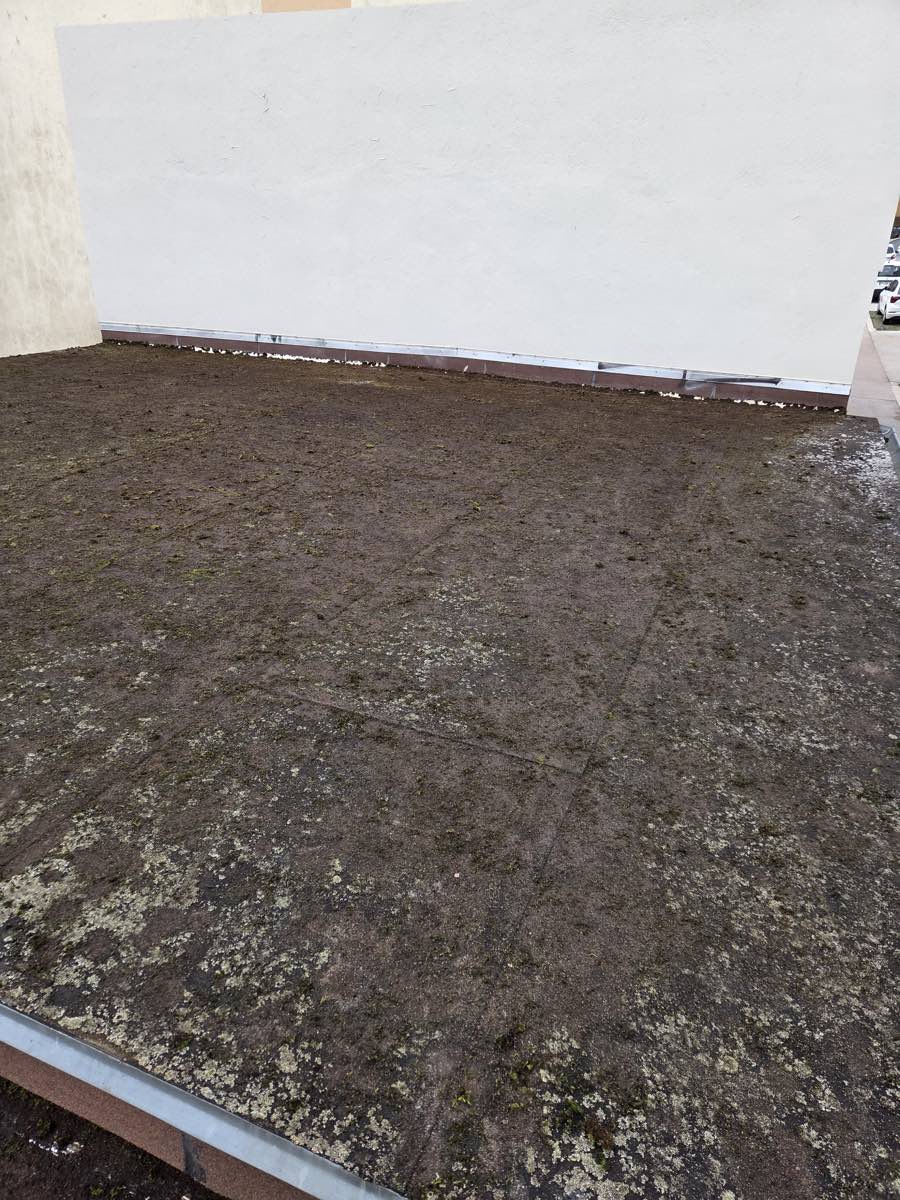 La même toiture-terrasse après démoussage, au même cadrage : la mousse a disparu, le revêtement est de nouveau visible.